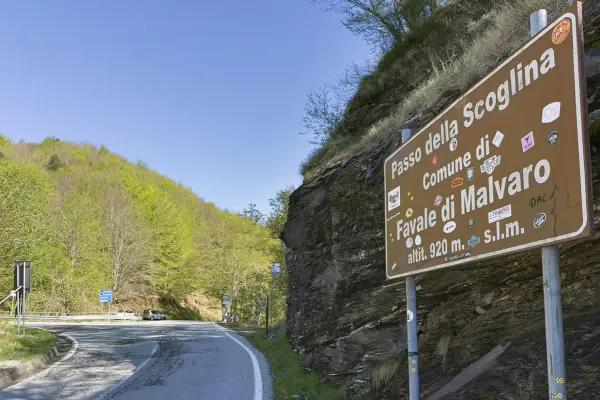 Cartello stradale indica "Passo della Scoglina, Favale di Malvaro, altit. 920 m. s.l.m." su una strada di montagna con vegetazione lussureggiante.